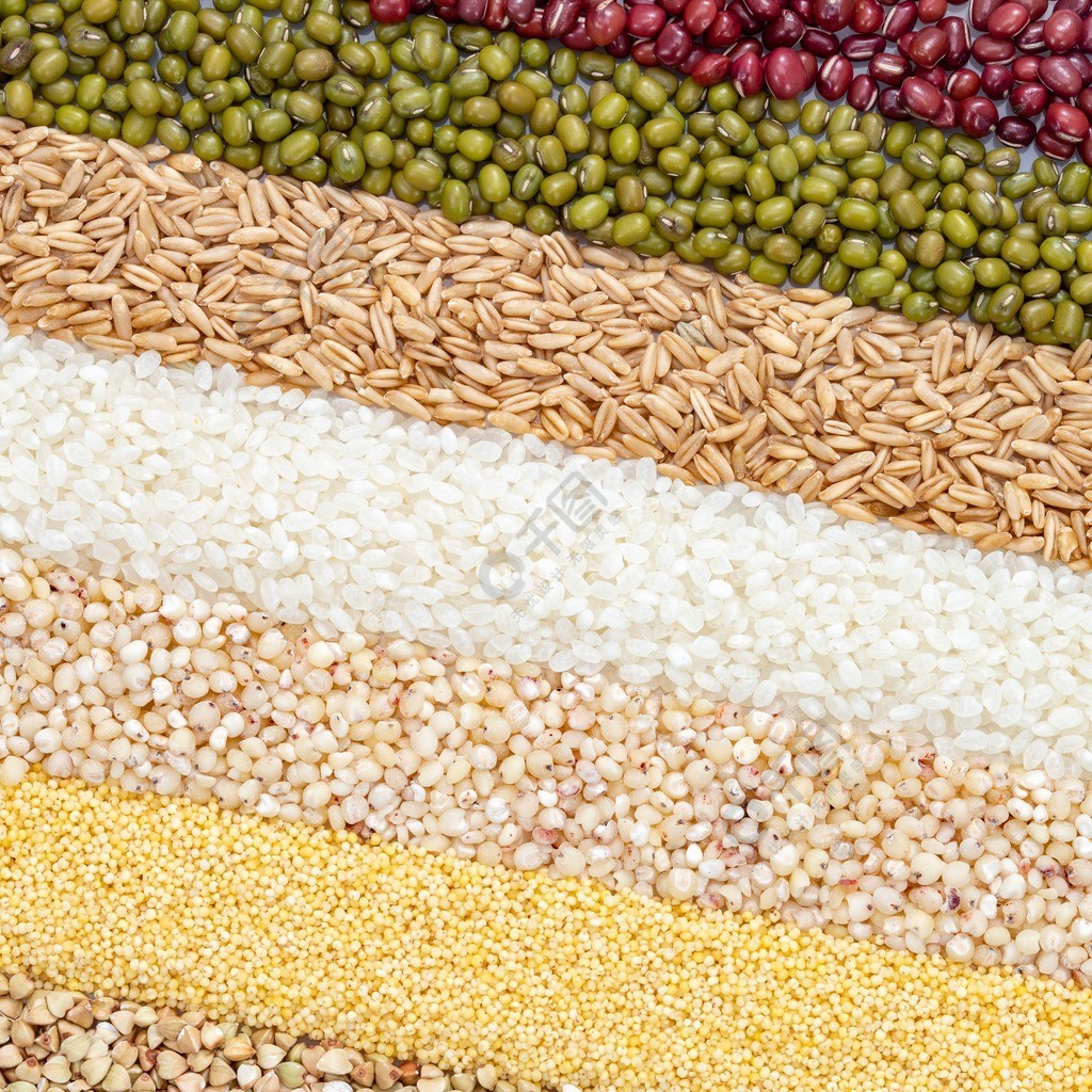 五谷豐登與棉花種植 農(nóng)業(yè)多樣化的視覺與內(nèi)涵